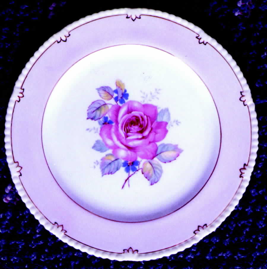 PAR35 Dinner Plate by Paragon-1