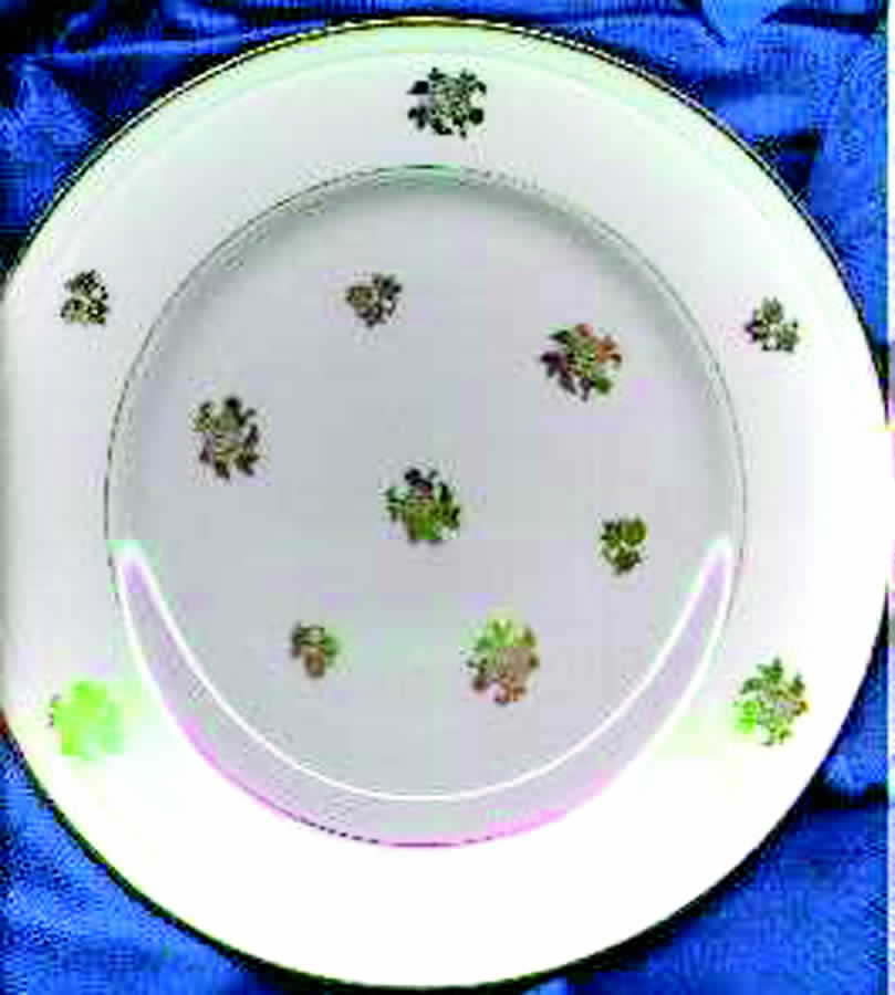 PL7 Salad Plate by Porcelaine Limousine-1