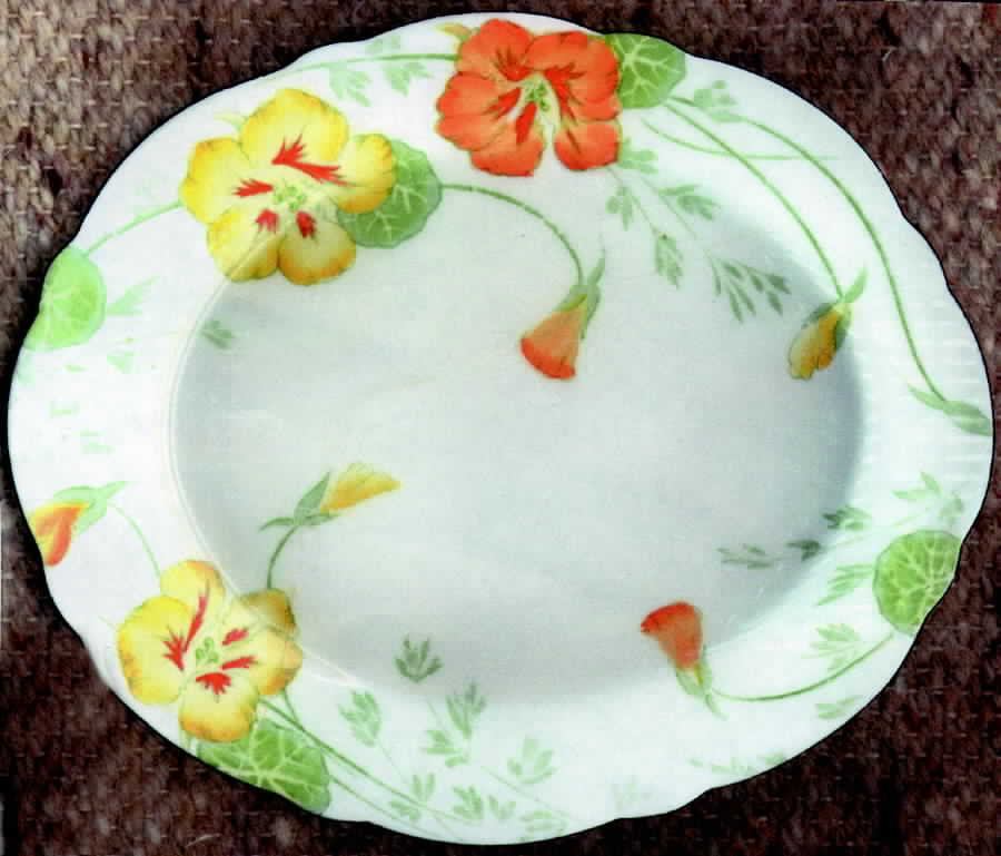Nasturtium Dinner Plate by Paragon-1