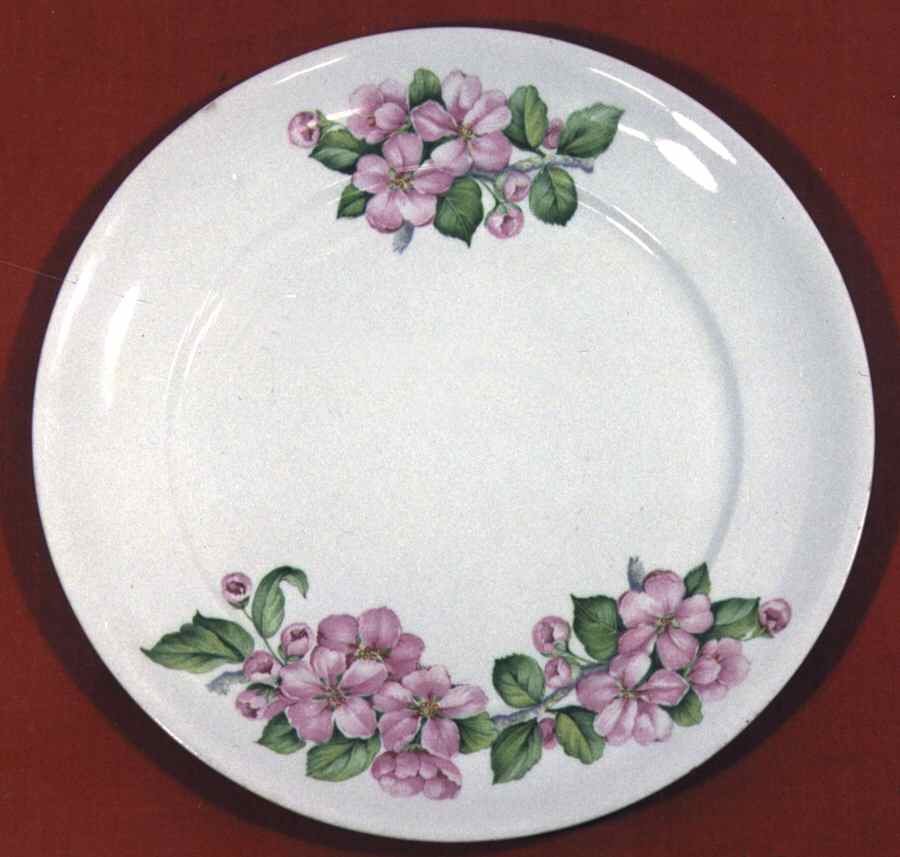 POP129 Dinner Plate by Pope Gosser-1