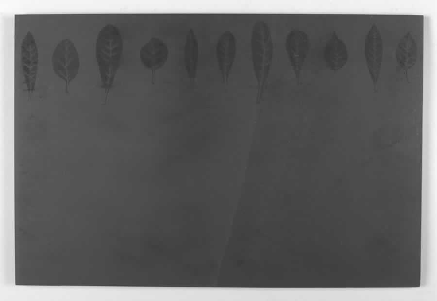 Seasons Leaves Stone Placemat by Portmeirion-1