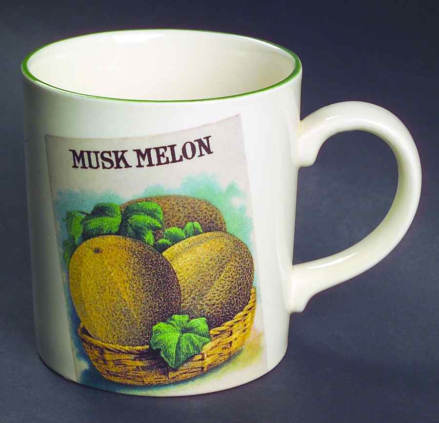 Seed Packets Mug by Poole Pottery-1
