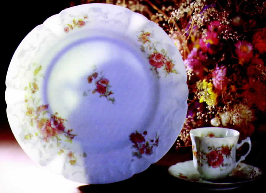 Jete Dinner Plate by Porcelaine Lafarge-1