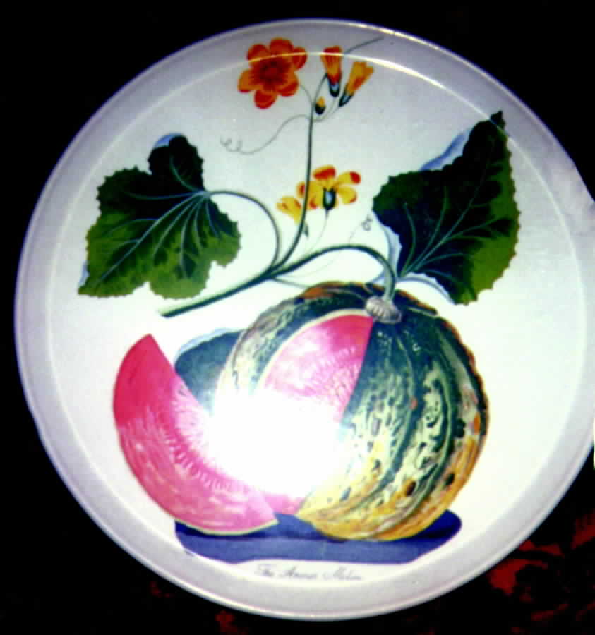 Americua Melon Dinner Plate by Portmeirion-1