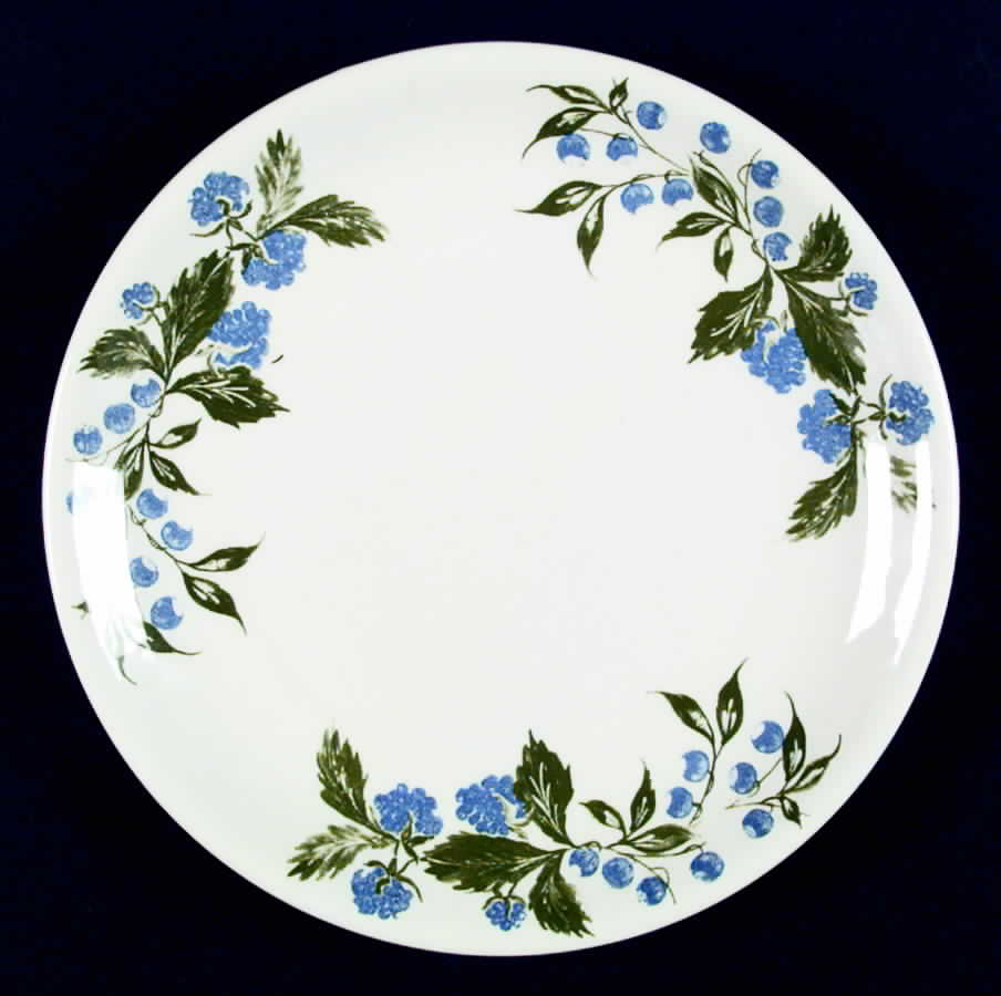 PGN14 Luncheon Plate by Pagnossin-1