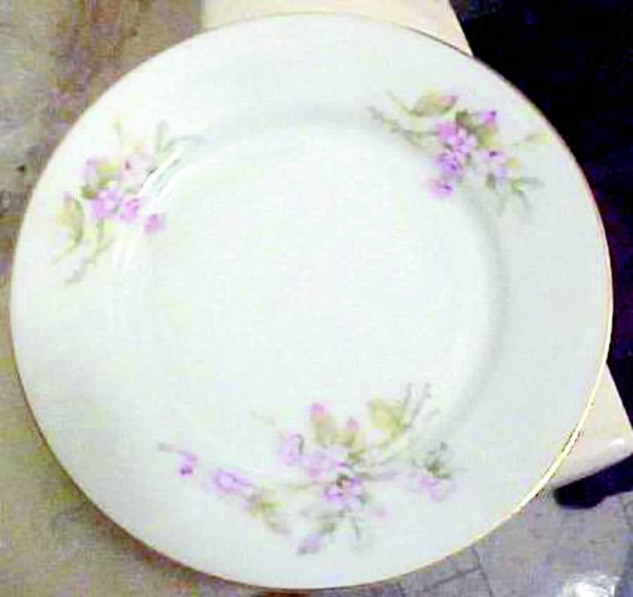 PFE7 Dinner Plate by Pfeiffer & Lowenstein-1