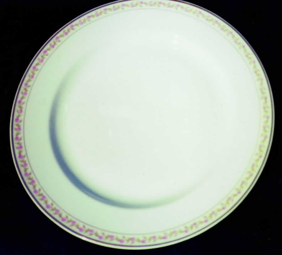 POY226 Dinner Plate by Jean Pouyat-1