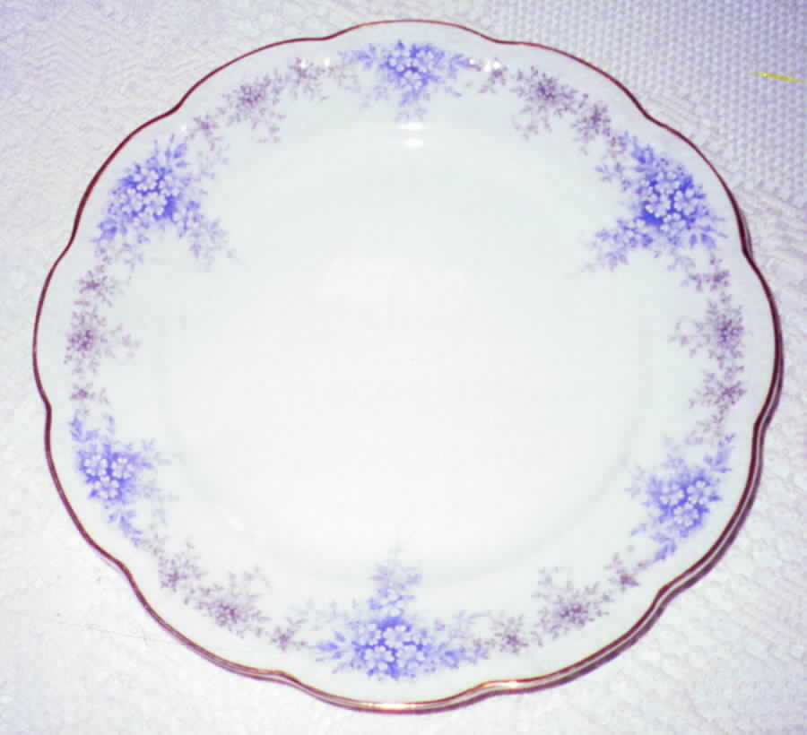 PDD1 Dinner Plate by P Raddatz-1