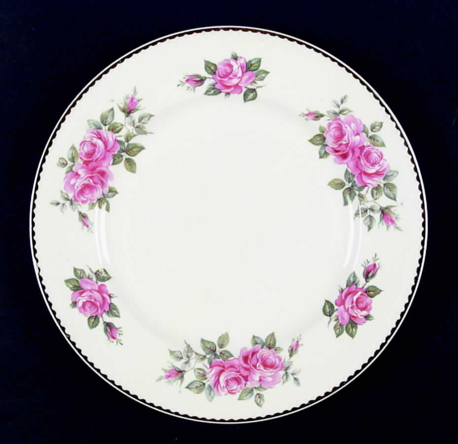 PTL2 Dinner Plate by Portland-1