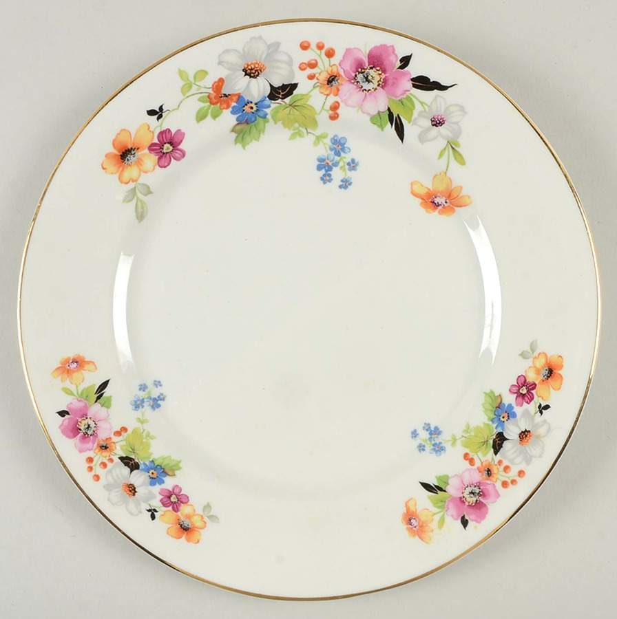 PRI10 Dinner Plate by Princess - Empcraft (USA)-1