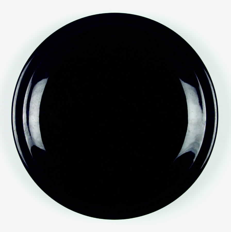 PFA28 Dinner Plate by Pfaltzgraff-1