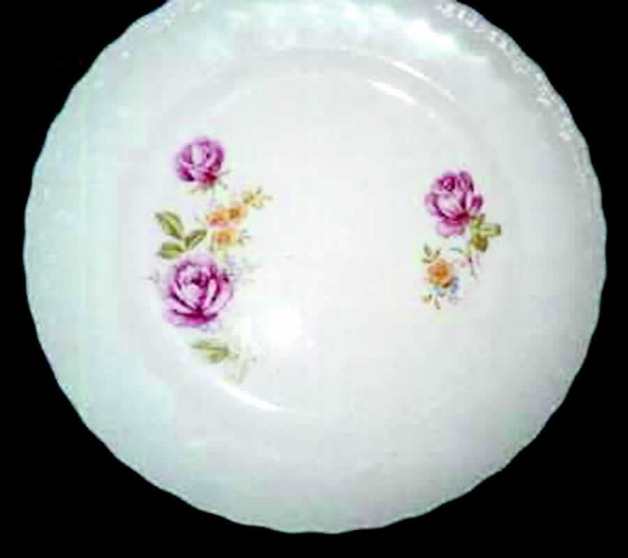 POP132 Dinner Plate by Pope Gosser-1