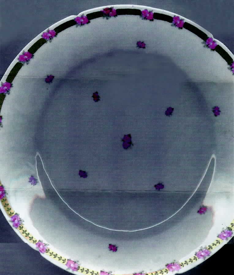 3064 Dinner Plate by Pfeiffer & Lowenstein-1