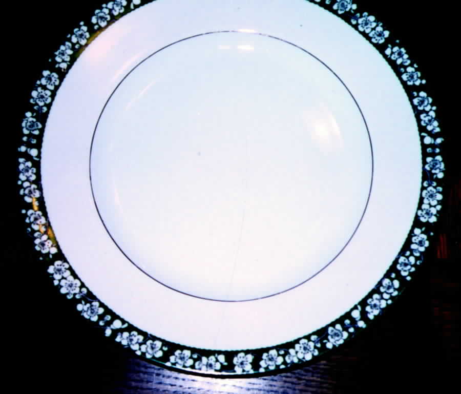PIR47 Dinner Plate by Pirkenhammer-1