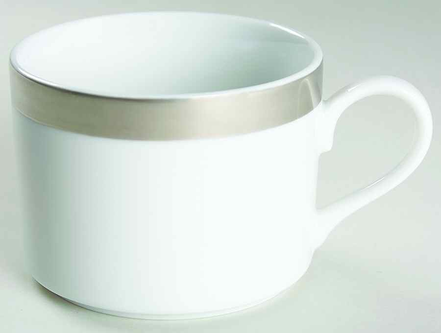 Cosmopolitan (Silver Band) Flat Cup by Pottery Barn China-1