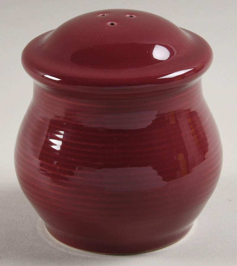 Festival Mauve Salt Shaker by Pier 1-1