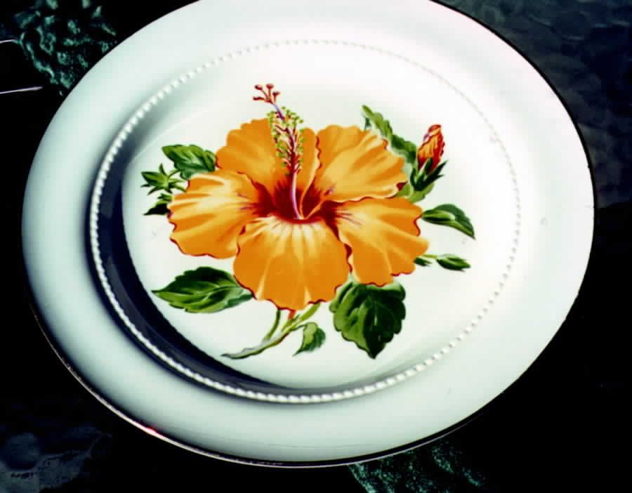 PCN5 Dinner Plate by Poinciana-1