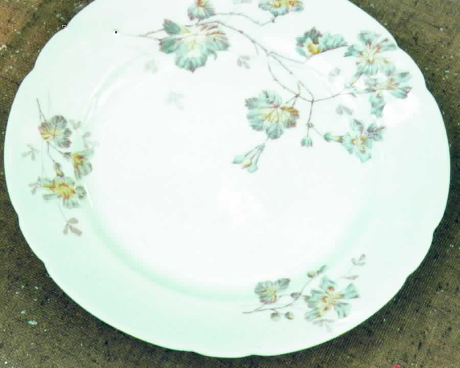 PHL7 Dinner Plate by P H Leonard-1