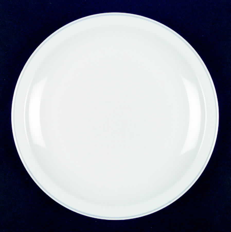 PFA29 Dinner Plate by Pfaltzgraff-1