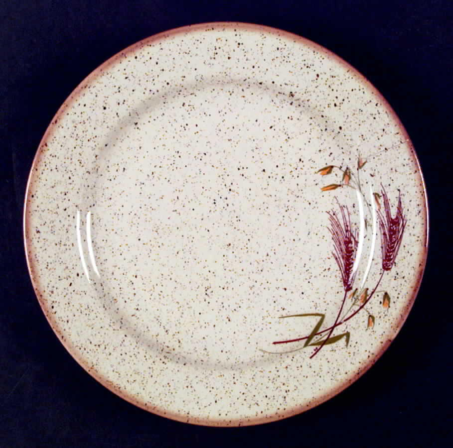 POL25 Dinner Plate by Poland-1