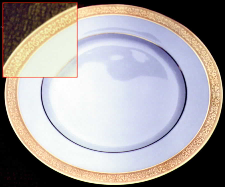 PAR40 Dinner Plate by Paragon-1