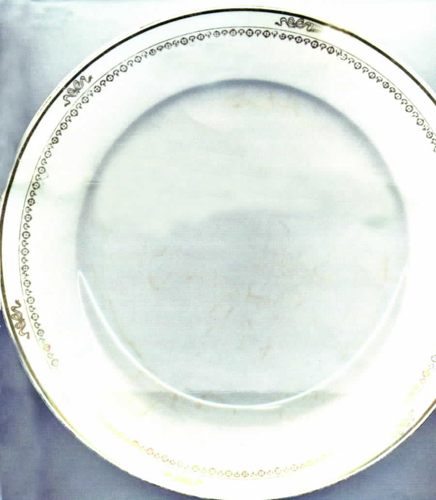 POP136 Dinner Plate by Pope Gosser-1