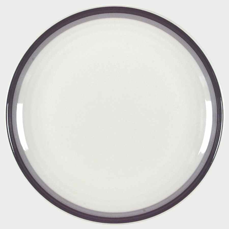 PFA31 Dinner Plate by Pfaltzgraff-1