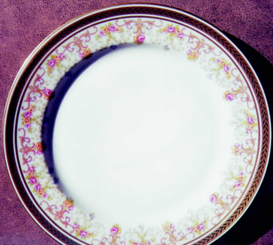 POY246 Dinner Plate by Jean Pouyat-1