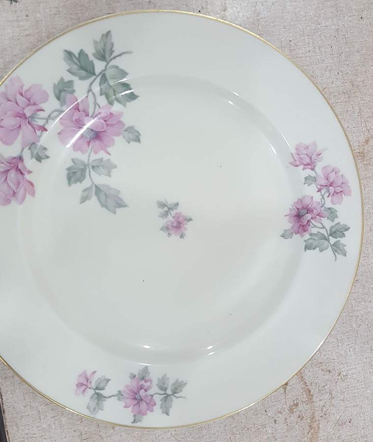 PIR51 Dinner Plate by Pirkenhammer-1