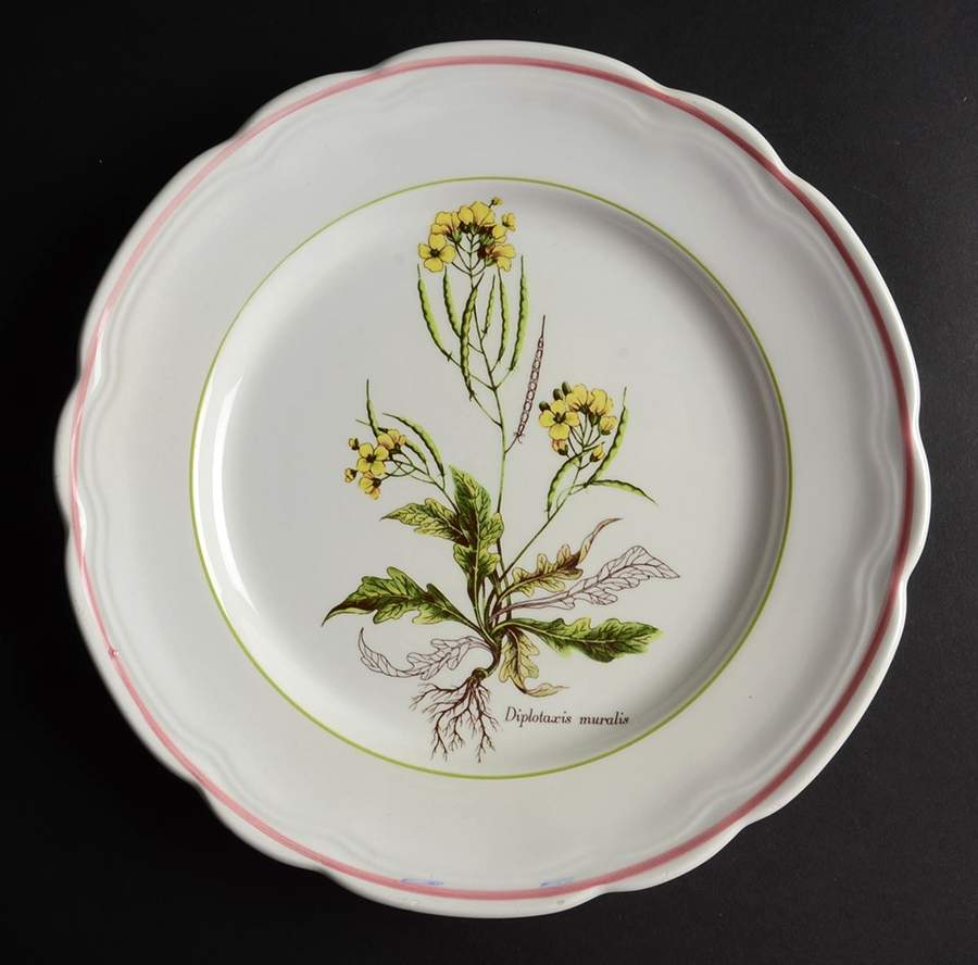 PRL10 Dinner Plate by Primula-1