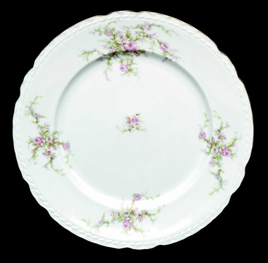 PRI11 Dinner Plate by Princess - Empcraft (USA)-1