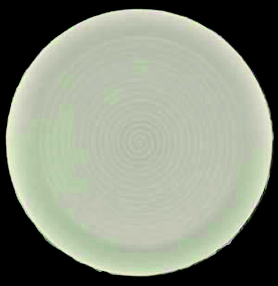 PUB1 Dinner Plate by Purbeck-1