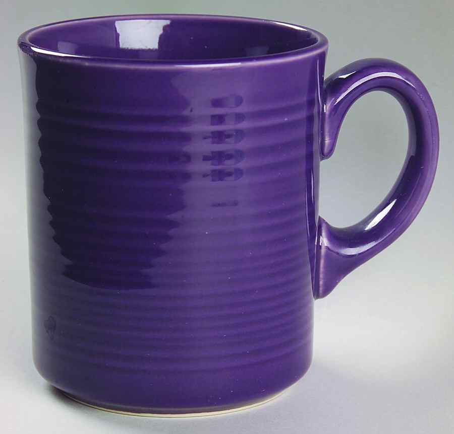 Festival Purple Mug by Pier 1-1