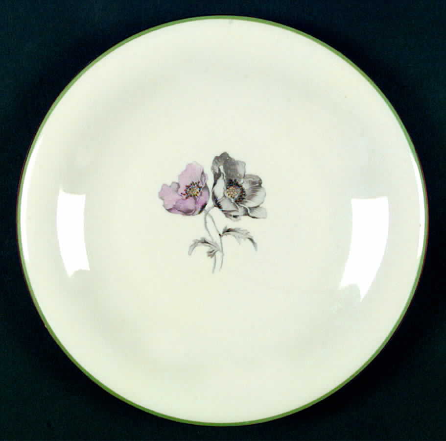 PIR54 Dinner Plate by Pirkenhammer-1