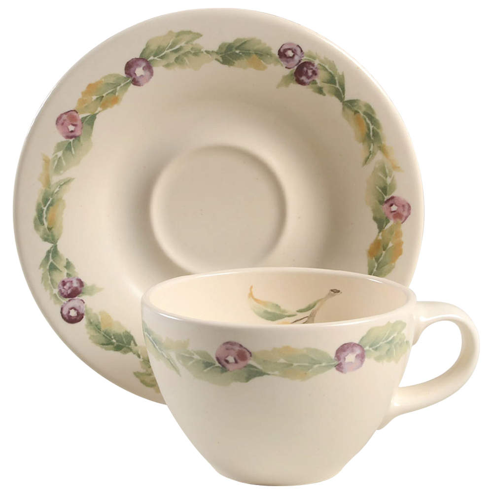 Jamberry Flat Cup & Saucer Set by Pfaltzgraff-1