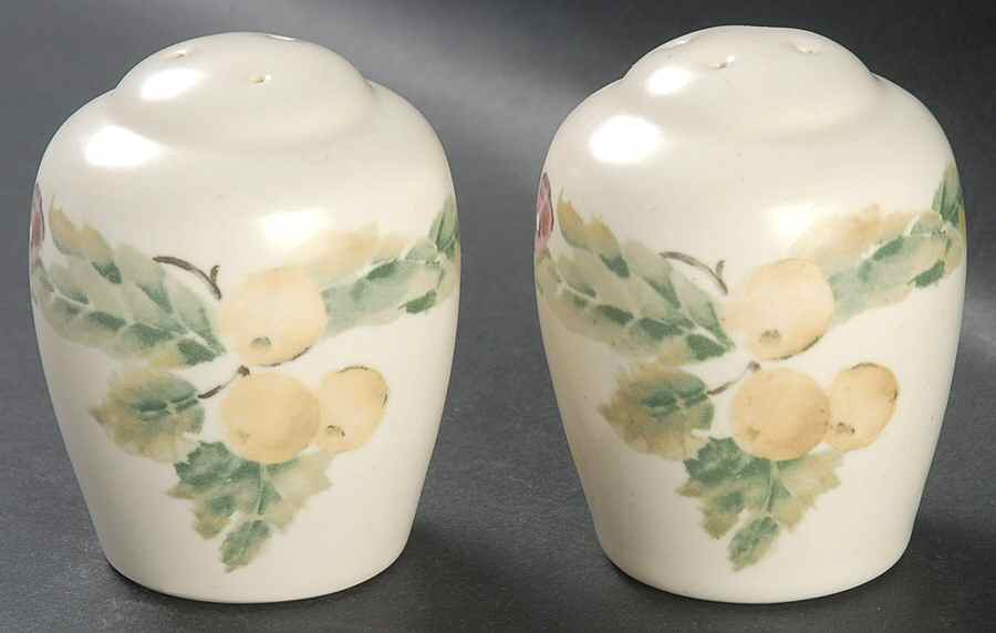 Jamberry Salt & Pepper Set by Pfaltzgraff-1