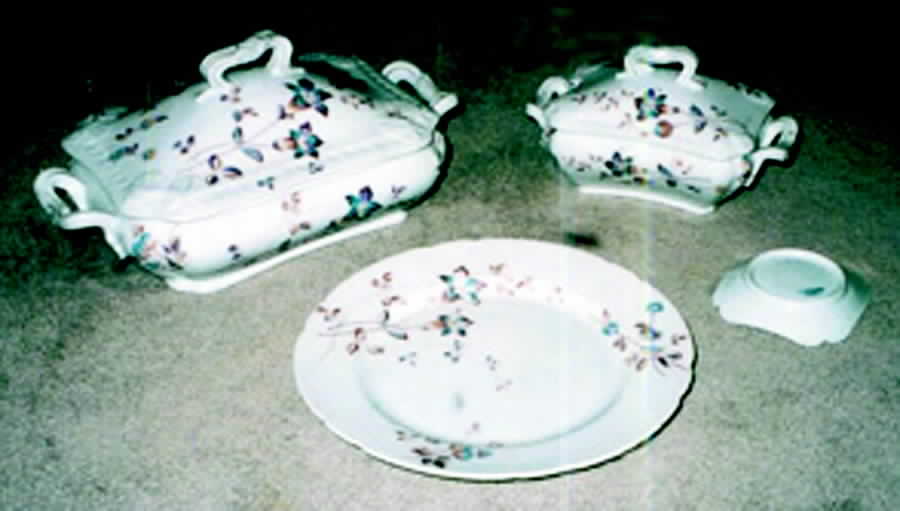 PHL11 Dinner Plate by P H Leonard-1