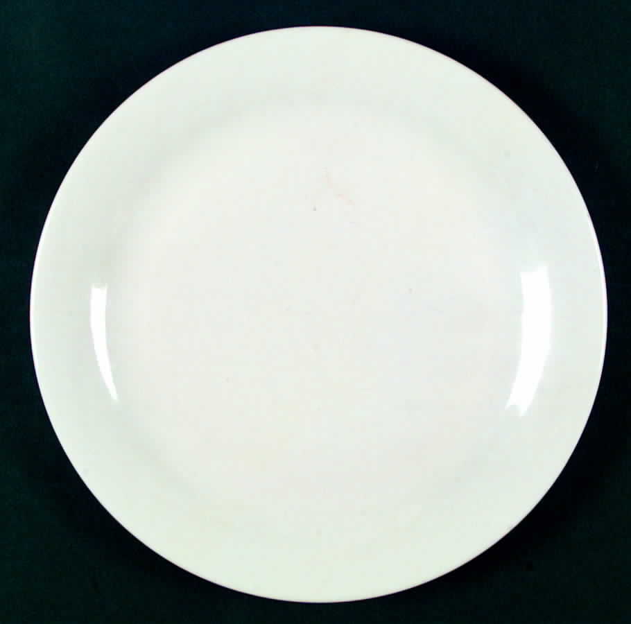 PFA35 Dinner Plate by Pfaltzgraff-1
