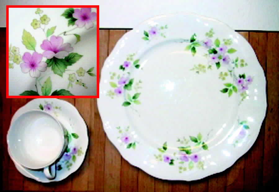 PAL5 Dinner Plate by Palissy-1