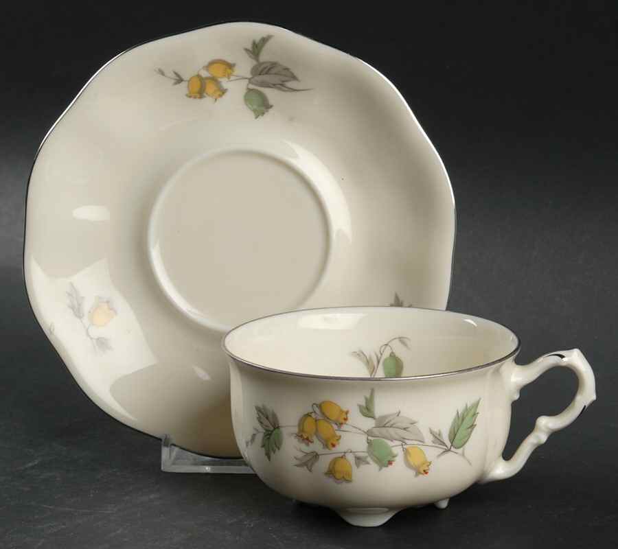 PIR163 Footed Cup & Saucer Set by Pirkenhammer-1