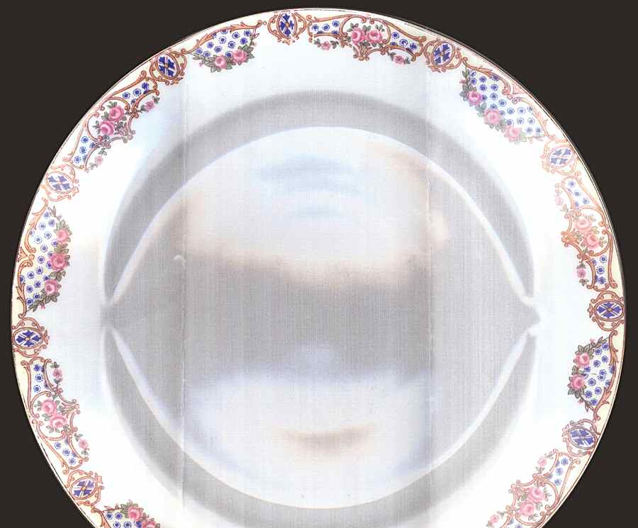 POY273 Dinner Plate by Jean Pouyat-1