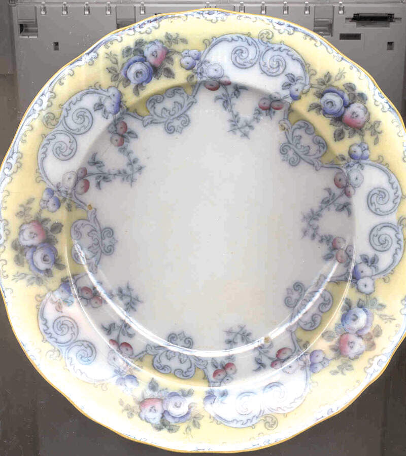Queen's Pattern Dinner Plate by Pinder Bourne & Hope-1