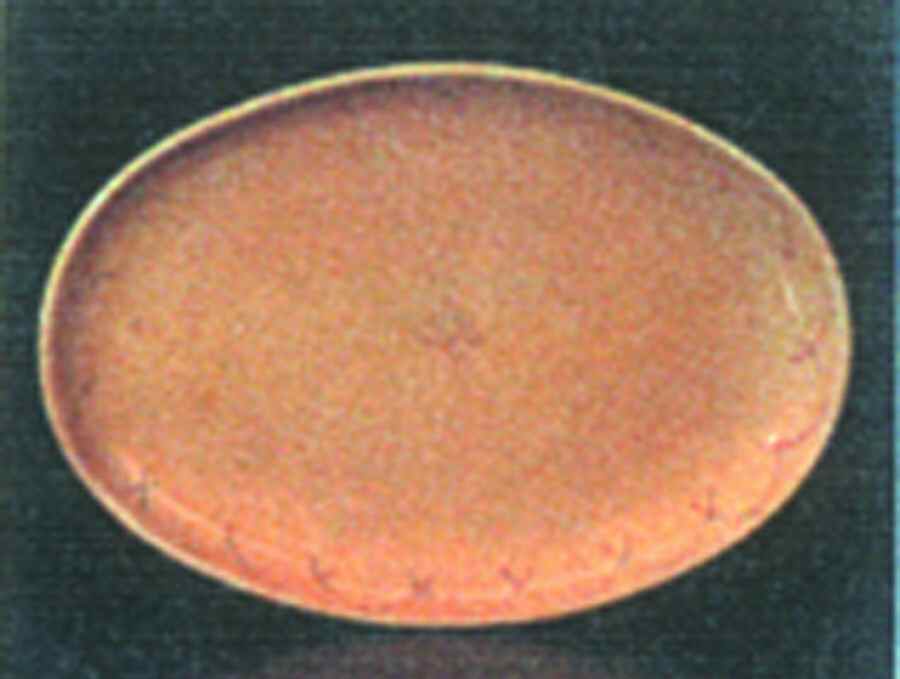 Etchings Honey (Yellow) 18" Oval Serving Platter by Presenttense-1
