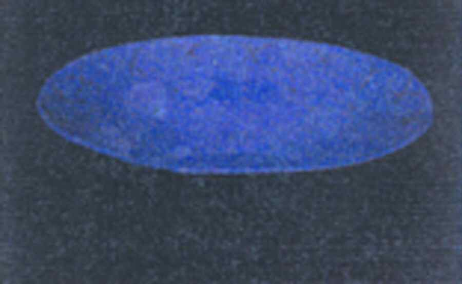 Etchings Indigo 10" Round Vegetable Bowl by Presenttense-1