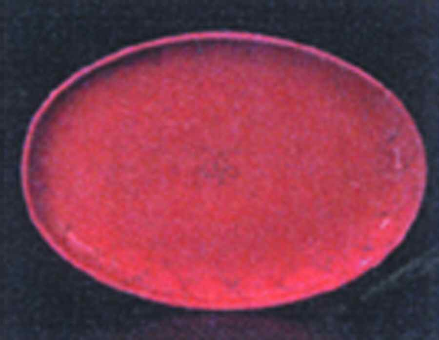 Etchings Terra Cotta 18" Oval Serving Platter by Presenttense-1
