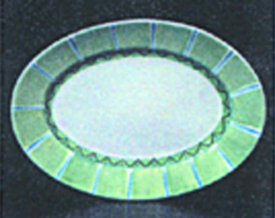 White Point Garden 15" Oval Serving Platter by Presenttense-1