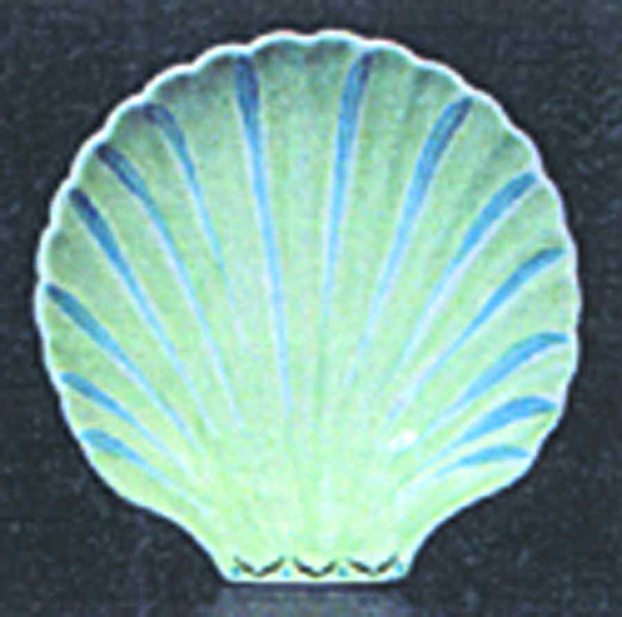 White Point Garden Large Shell Shaped Dish by Presenttense-1