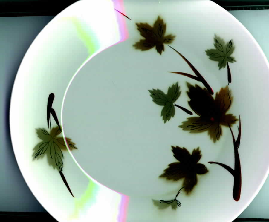 Autumn Leaves Dinner Plate by Primastone Japan-1