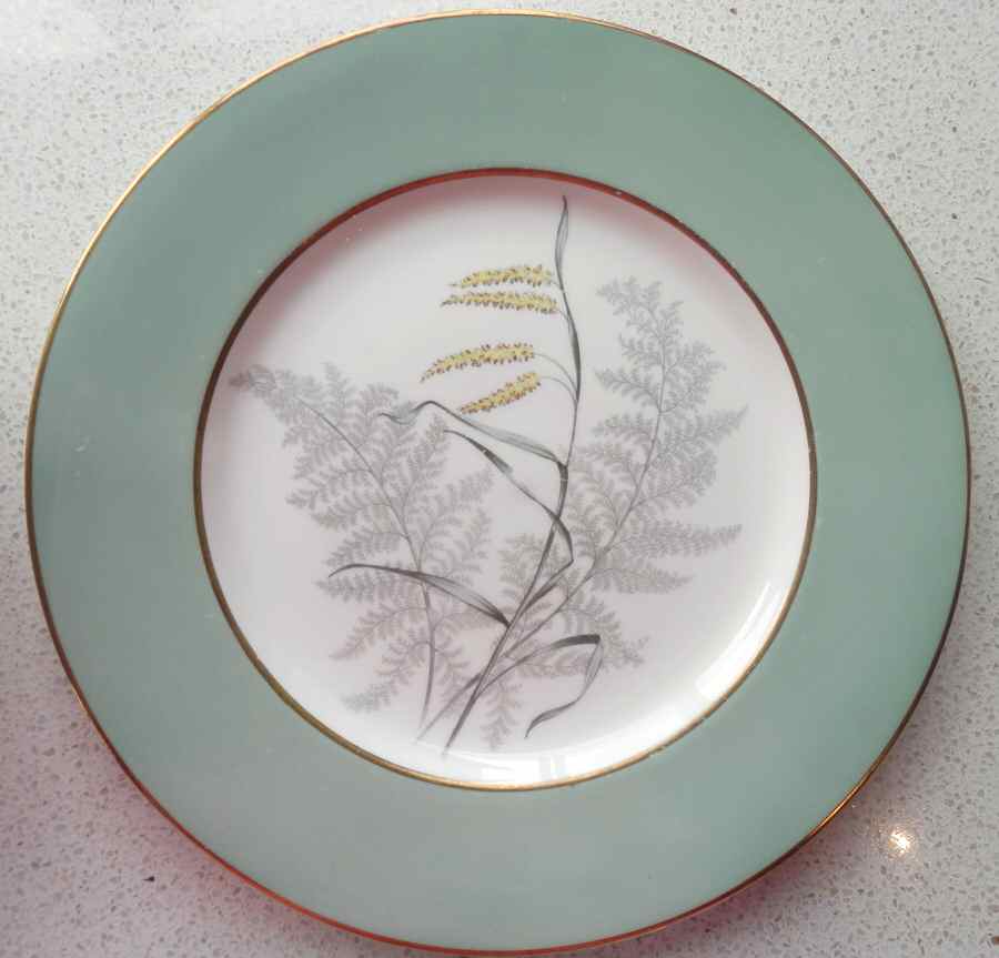 Z1158 Dinner Plate by Paragon-1