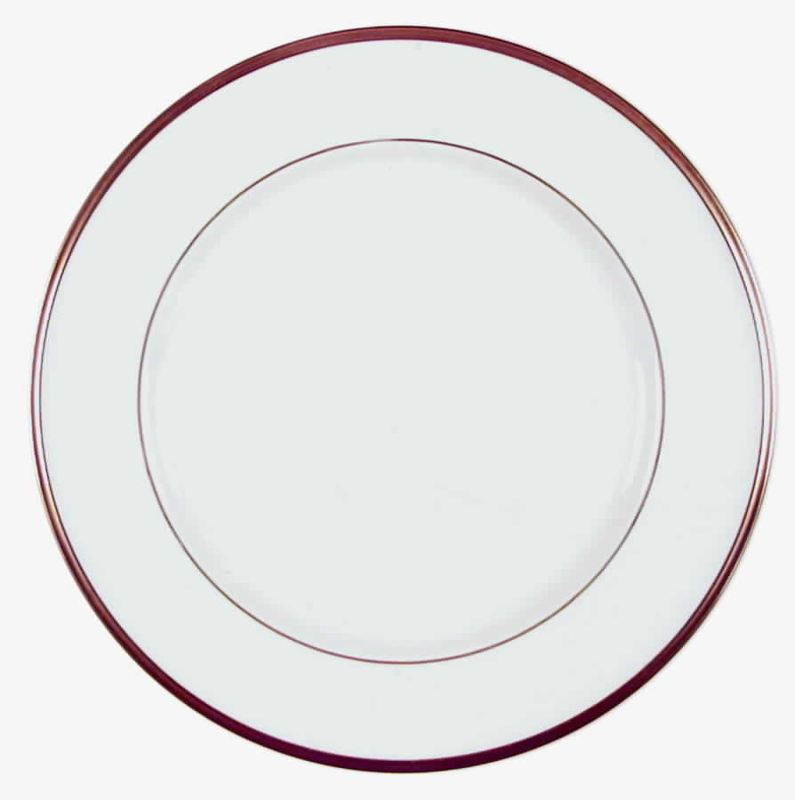 PFA38 Dinner Plate by Pfaltzgraff-1